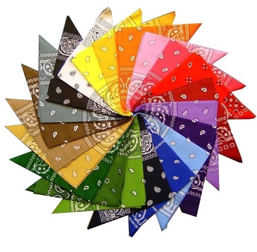 Pack cotton paisley - pack,