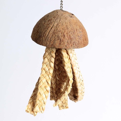 Jellyfish natural parrot - jellyfish,