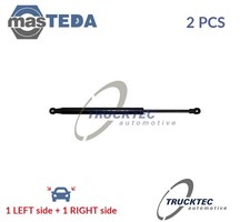 0863031 TAILGATE BOOT STRUTS