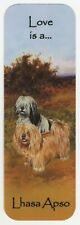 LHASA APSO BEAUTIFUL DOG
