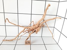 Aquarium Wood Driftowood for Fish Tank Red Moor SIZE L