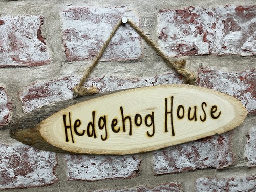 Pet dog cat horse etc - pet,
