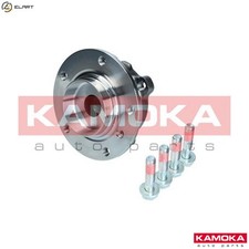 WHEEL BEARING KIT 5500132 FOR