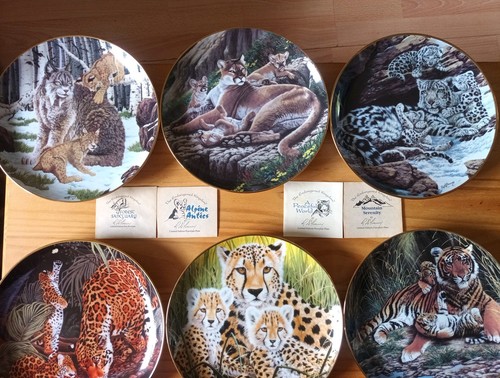 Collection the endangered - collection,