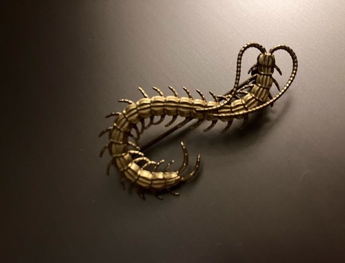 Scolopendra brooch pin - brooch,