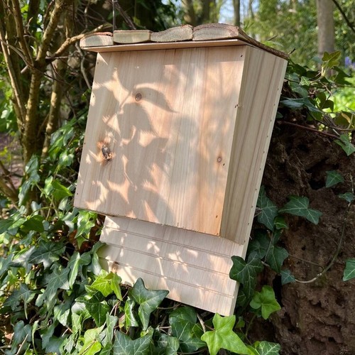 Large wooden bat roosting - large,