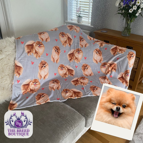 Pomeranian blanket with - pomeranian,