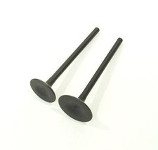 Inlet exhaust valves for - inlet,