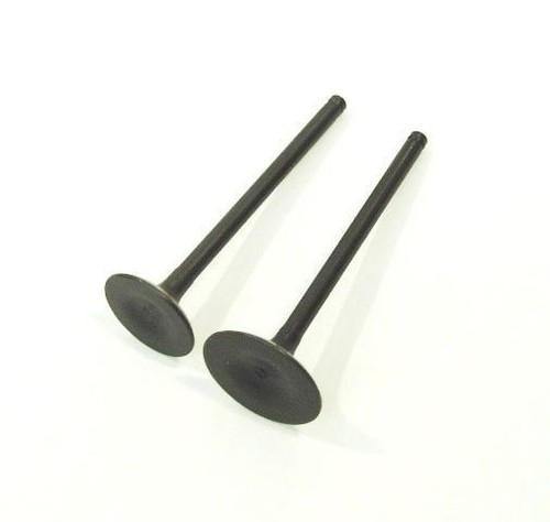 Inlet exhaust valves for - exhaust, btm