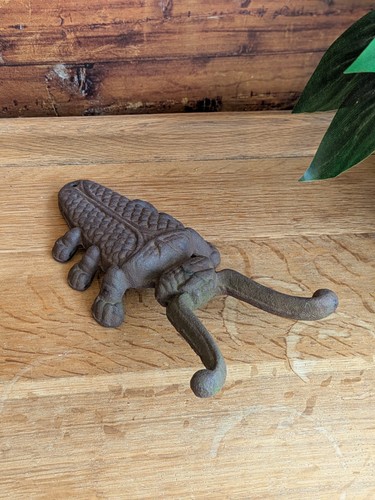 Large cast iron - iron, beetle