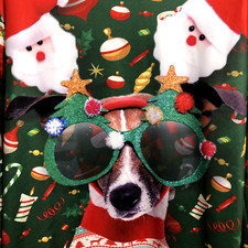 Funny Dog Christmas Sweatshirt