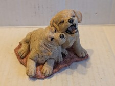 Adorable Country Artists Puppy