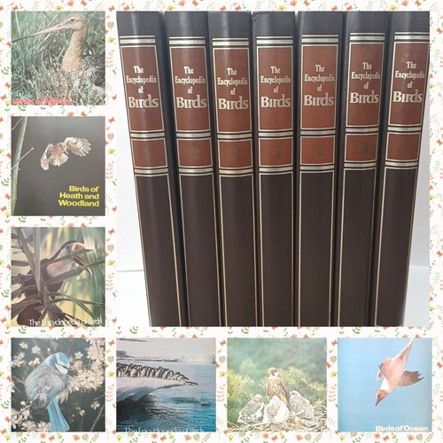 The complete set - complete,