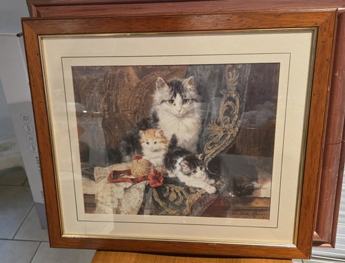 Henriette ronner knip cat - henriette,