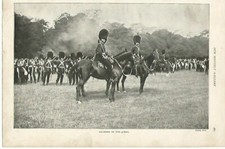 VICTORIAN SOLDIERS OF QUEEN