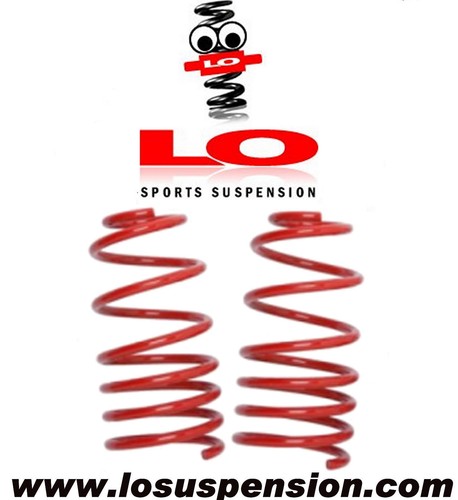 Lowering springs for - lo,