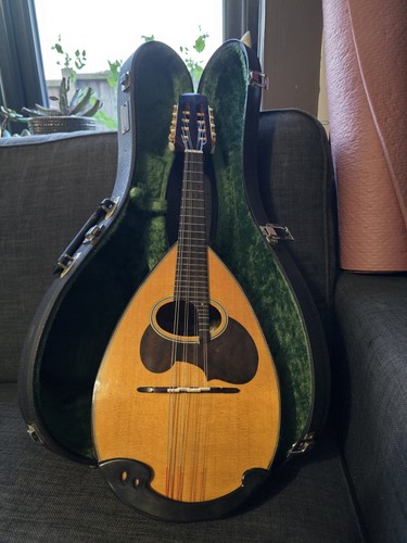 Suzuki mandolin nagoya - mandolin,