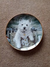 Hitching A Ride Westie Plate , Danbury Mint A11646 Home Decor