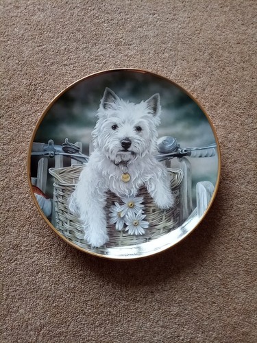 Hitching ride westie plate - ride,