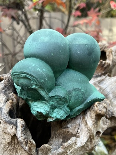 Large malachite stalactite - large,