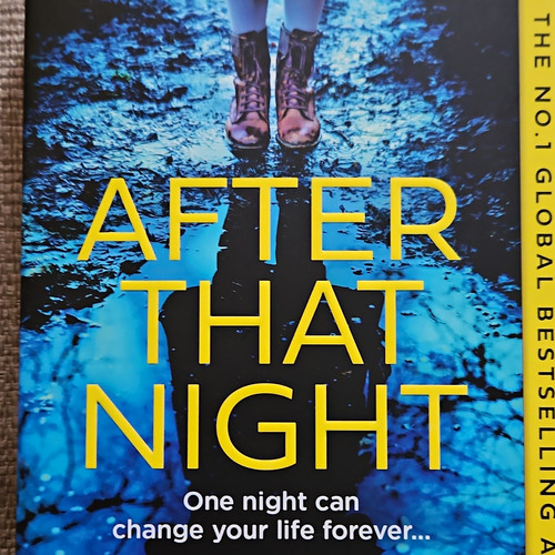 Karin slaughter after - karin,