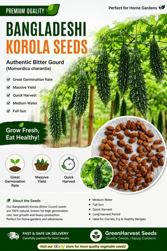 Bangladeshi korola - bangladeshi,