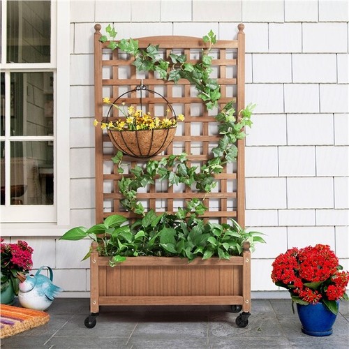 Wooden raised bed for - raised,