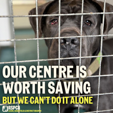 Donate To Help Save Our Animal Rescue Centre 🐾 RSPCA Leeds and Wakefield Branch