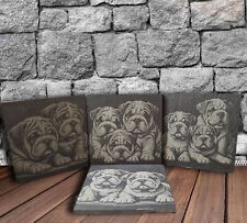 English Bulldog Puppy Slate Coaster, Gift Set, Pet Animal Print , Dog Lovers 