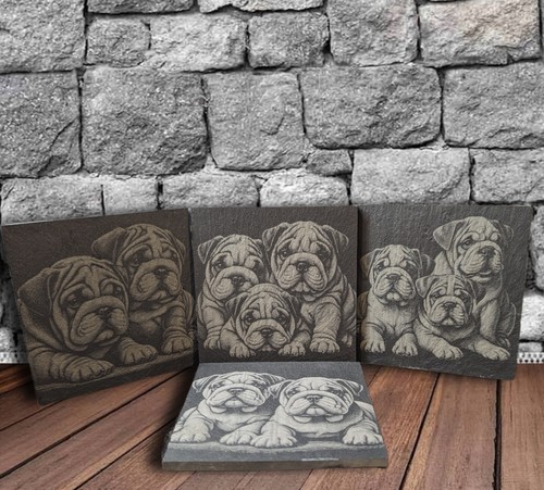 English bulldog puppy slate - bulldog,