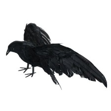 ﹣Halloween Crow Decorations