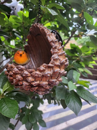Robin pine cone bird - pine,