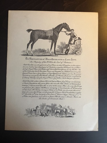 Vintage jarnow horse - jarnow, racing