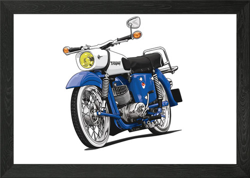 250 es 150 trophy - mz,