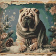 Shar Pei Puppy Dog  Vintage