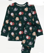 Christmas Green Guinea Pig