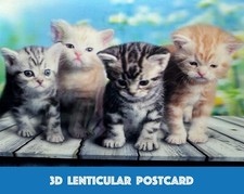 Kittens - 3D Lenticular