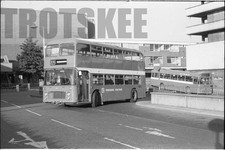 35mm Black and White Negative