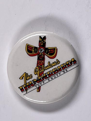 The fabulous thunderbirds - the,