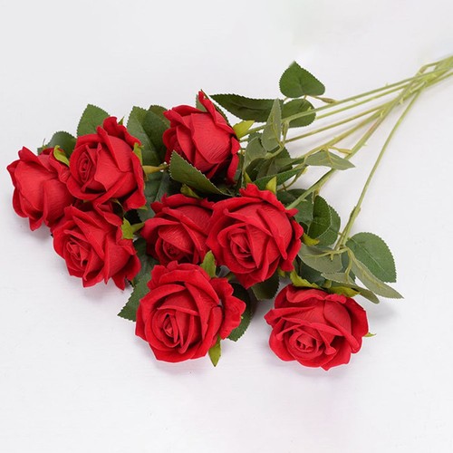 Deluxe single stem velvet rose - single,