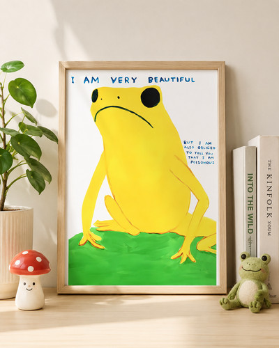 David shrigley funny - david,