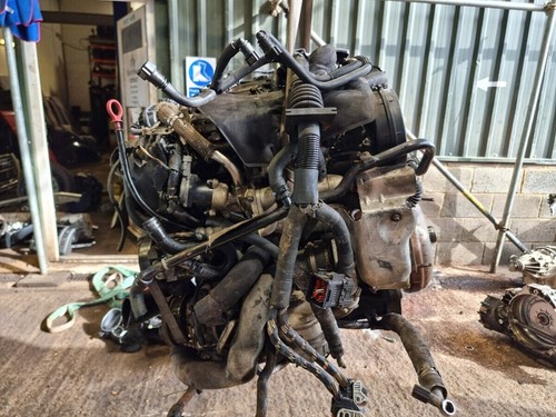 Jaguar type engine - jaguar, s-type