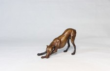 Whippet Playing Solid Hot Cast