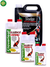 CLOVERLEAF SLUDGE ANSWER KOI