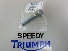 TRIUMPH ROCKET3 111 CLASSIC TOURING ROADSTER SWING ARM BOLT M18X1 5X58  T3330258