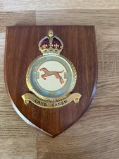 49 Squadron Royal Air Force