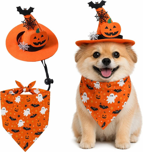 Dog halloween costume - dog,