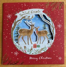 'Special Couple' Christmas