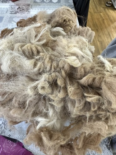 Pure hand washed alpaca - washed,