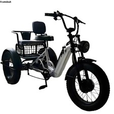 20" Electric Trike 48V Cargo/Utility E-Trike with Rear seat for Passenger 140kg